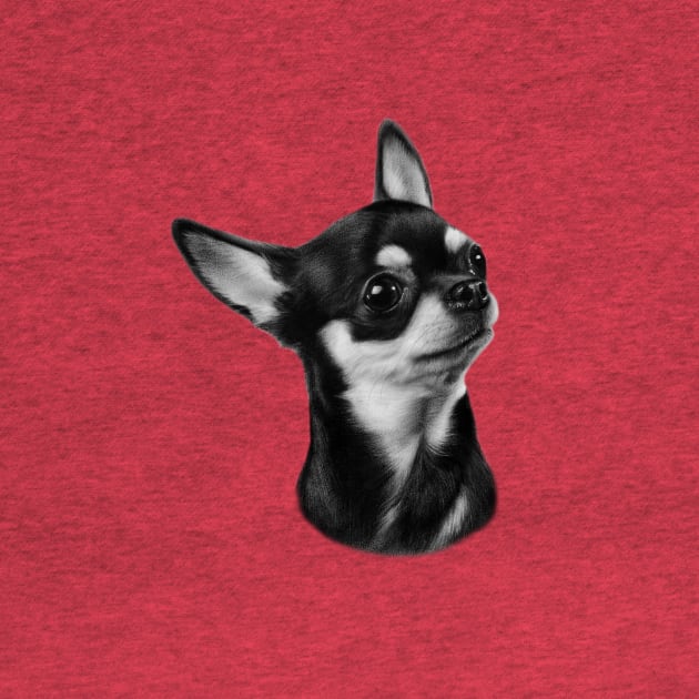 Chihuahua by animalpaintings